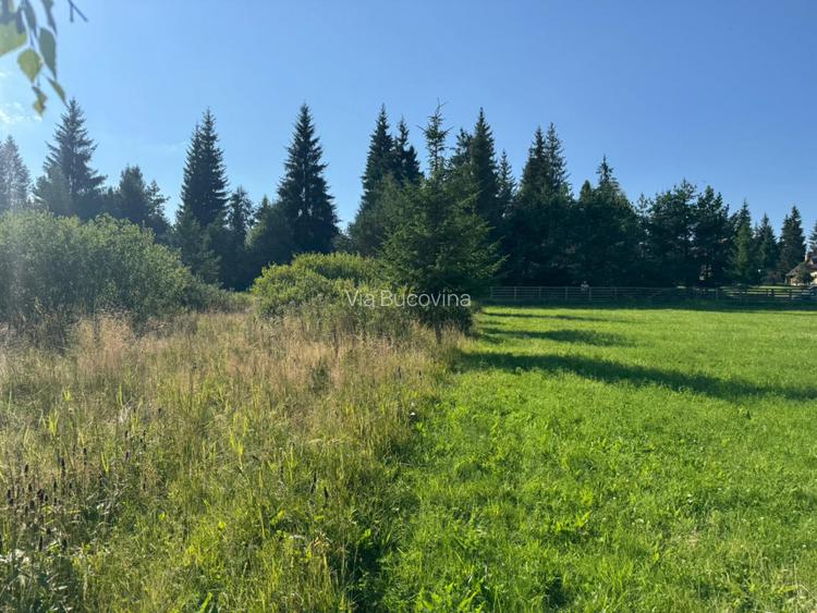   12700 mp investitie rezidentiala- turistica- medicala Tinovul Mic/Șaru Dornei  - 14