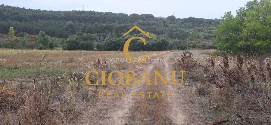 Teren Intravilan/Extravilan de vanzare in Bradestii Batrani - 2