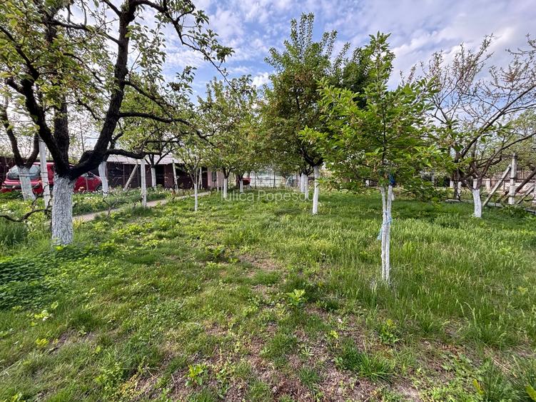 Casa și teren de vânzare Rogova - 2