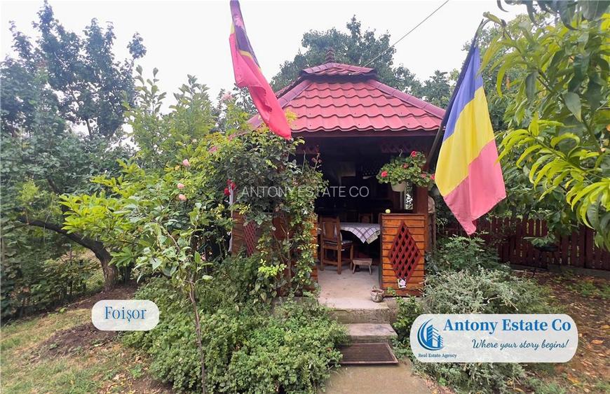Antony Estate | Vanzare The Heritage Hill - Zona Dealuri - 20