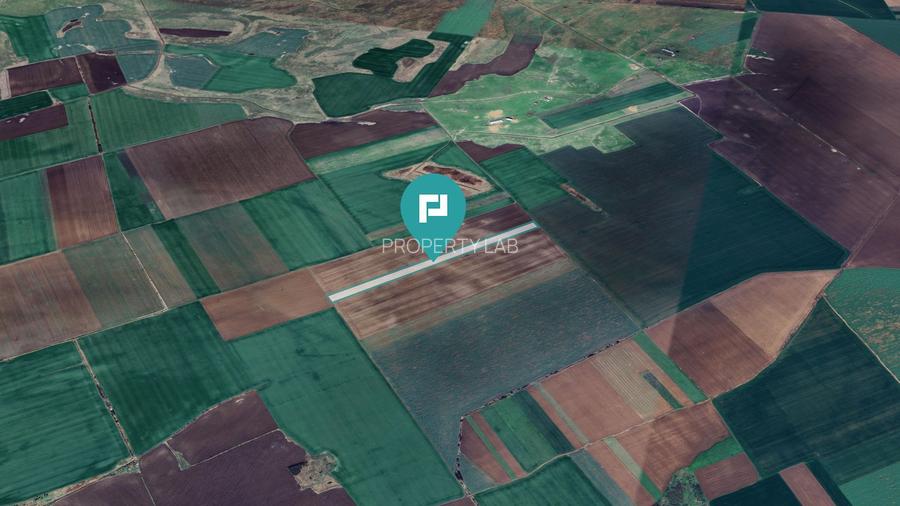 Teren 30.000 mp la drum asfaltat – Peciu Nou - 2