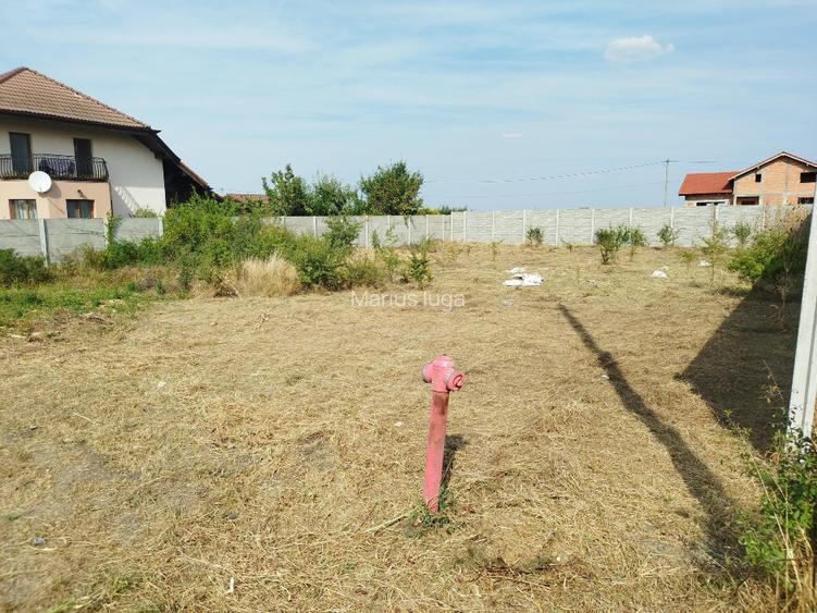 Teren intravilan Sacalaz Jud Timiș  - 2