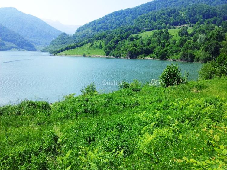 Teren unicat 73000 mp baraj Siriu - 10
