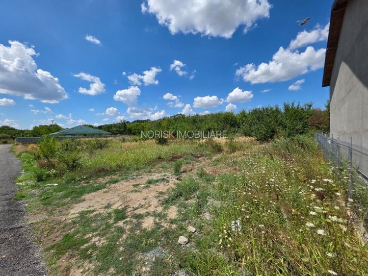 Preț redus! Teren 1.120 mp | Autorizație de construire | Corbeanca - 4