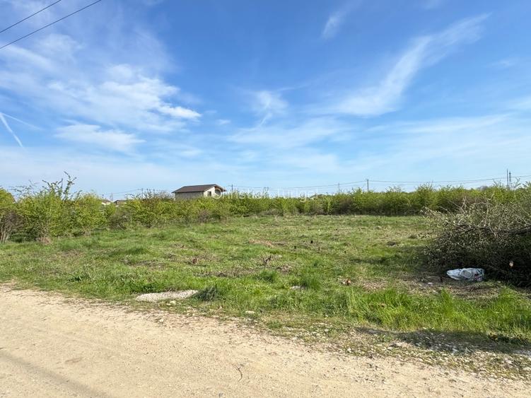 📍 Teren intravilan Premium – 538 mp | Aleea Bradului 59, Smeura – Moșoaia - 12