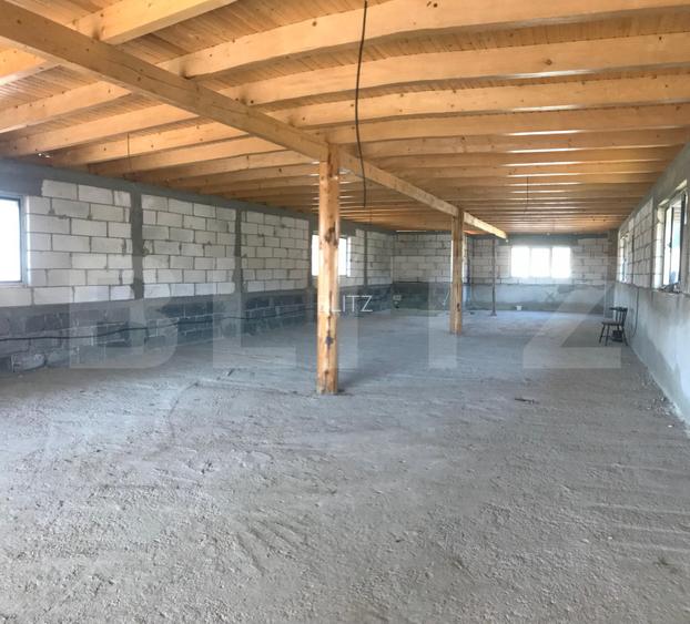 Casă (la rosu), Livadă și Pădure, Teren Generos și Plată Flexibilă – Bezdead - 12