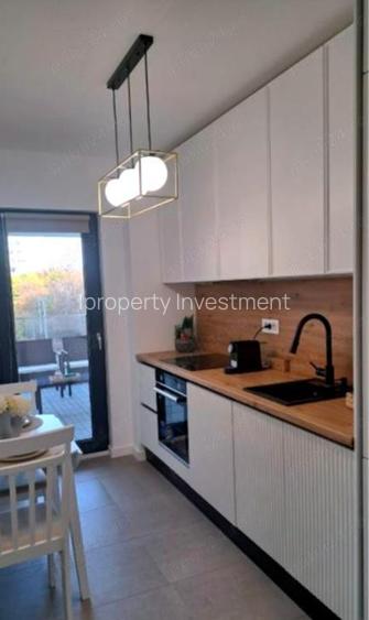 Herastrau 2 Camere Terasa Parcare Mobilat Modern - 3
