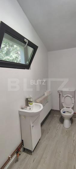 Casa de vacanta 4 camere, 100 mp, teren 768 mp, Dealu Mare, Comuna Rasca - 17