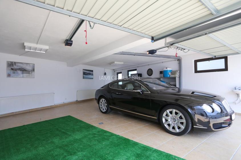 Vila de lux 1 Decembrie - 3