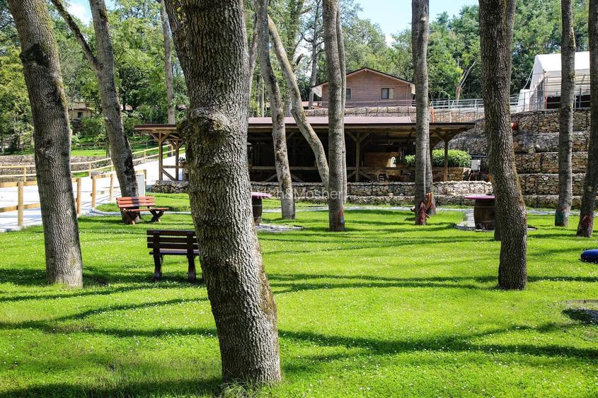 Domeniul Herneacova - 27