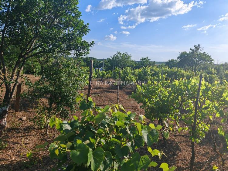 VANZARE CASA INDIVIDUALA - 17