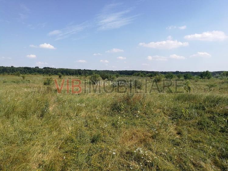 Baneasa - Piscul Reghiului, teren intravilan, suprafata 727 mp - 2