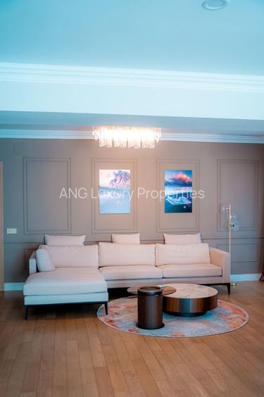 Penthouse Premium zona Floreasca - 10