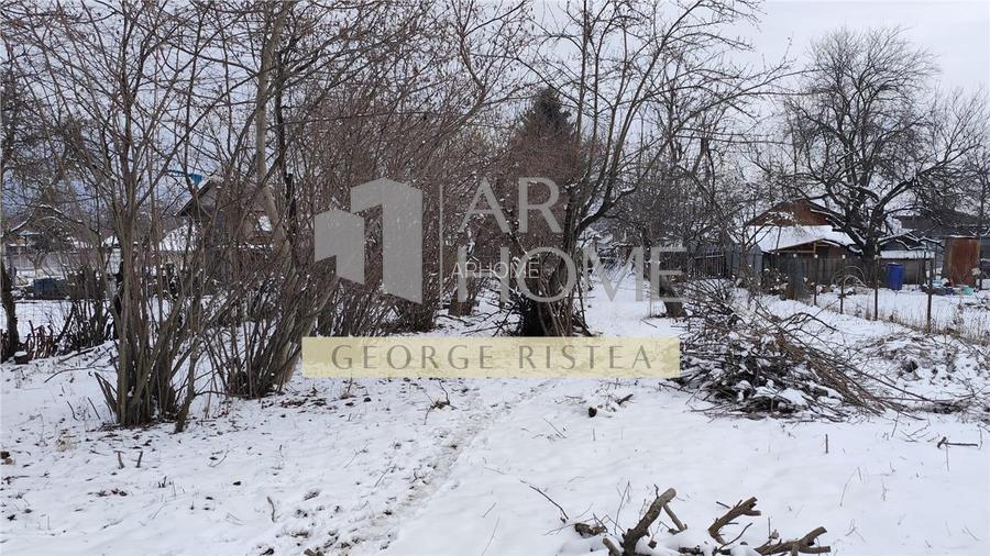 Teren 3310 mp + Casa Batraneasca Bobolia - 10