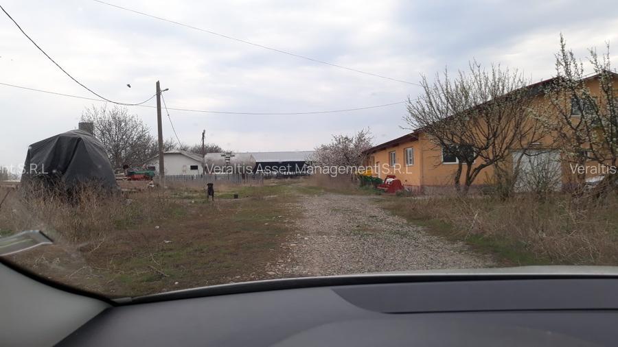 de vanzare Ferma Vaci - 4