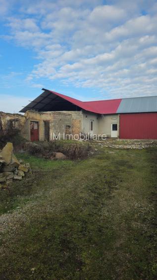 Gelu - Casa 4 Camere -Teren Generos - 14