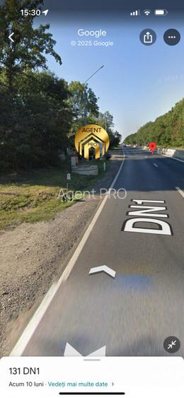 4 X Loturi Teren Intravilan in Saftica – Balotesti |  100m de DN1 - 3