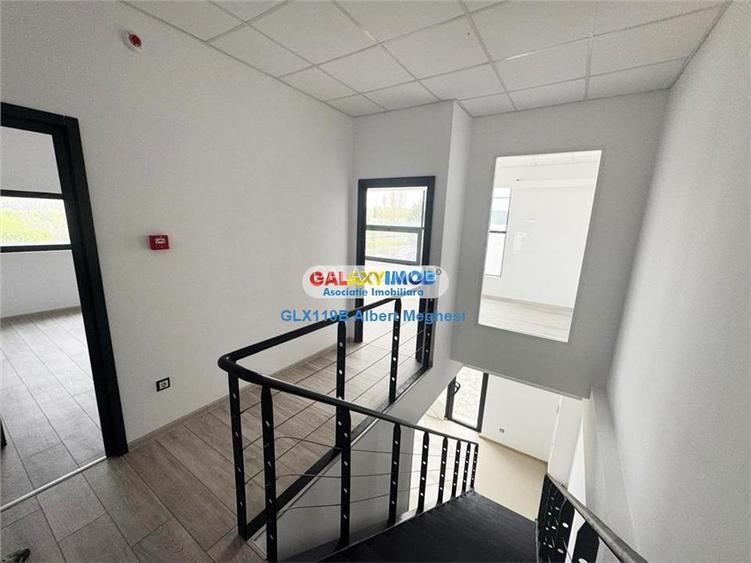 Inchiriere Spatiu Depozitare Hala Centura-Mogosoaia - 10