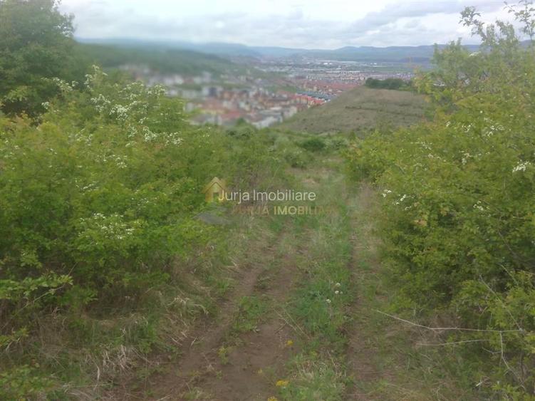 teren extravilan 3640 mp Strada Stejarului - 3