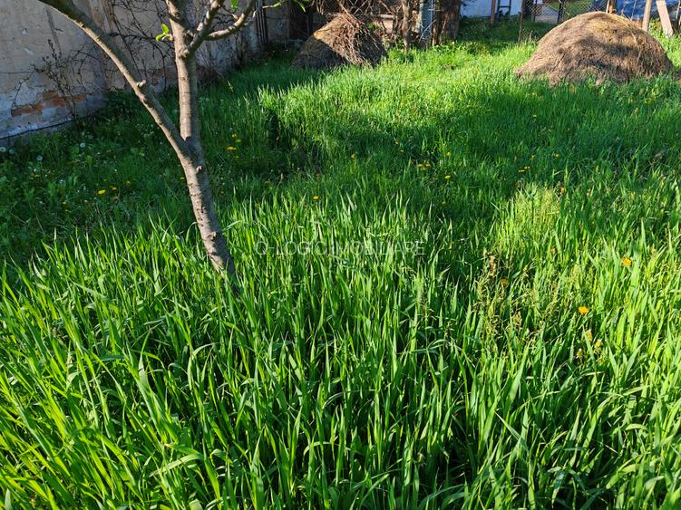 Teren rezidential intre case zona Mihai Eminescu - 4