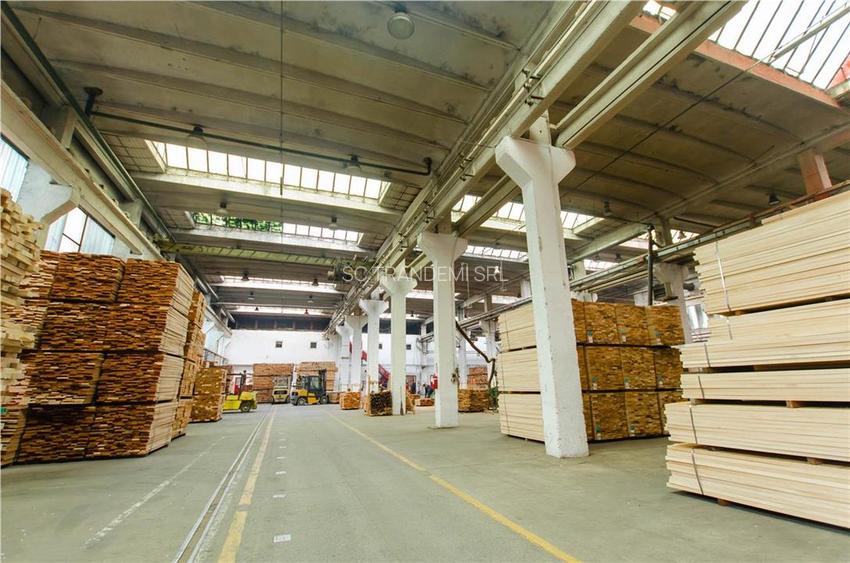 Hala industriala de 2700mp cu 3,1 ha teren intravilan in Miercurea Sibiului - 15