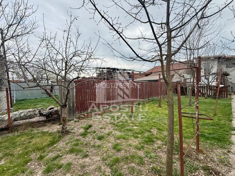 Casa individuala cu 6 camere de vanzare zona Plopi Timisoara - 6