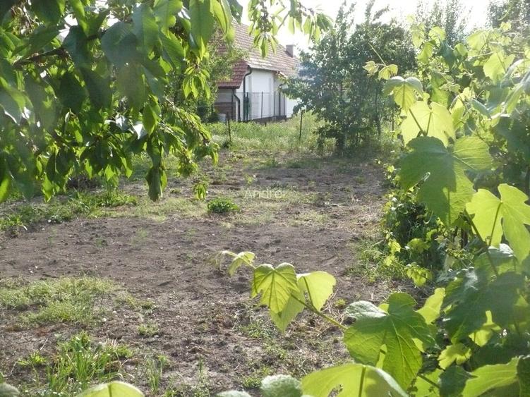 De vânzare casă familială cu grădină și potential de dezvoltare/parcelare - 5