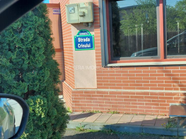 VANZARE TEREN INTRAVILAN CORNET - 11