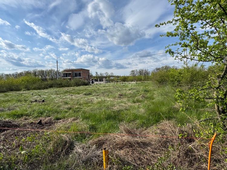 📍 Teren intravilan Premium – 538 mp | Aleea Bradului 59, Smeura – Moșoaia - 11
