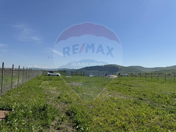 Teren de vanzare 8.700 mp in Livada comuna Iclod - 16