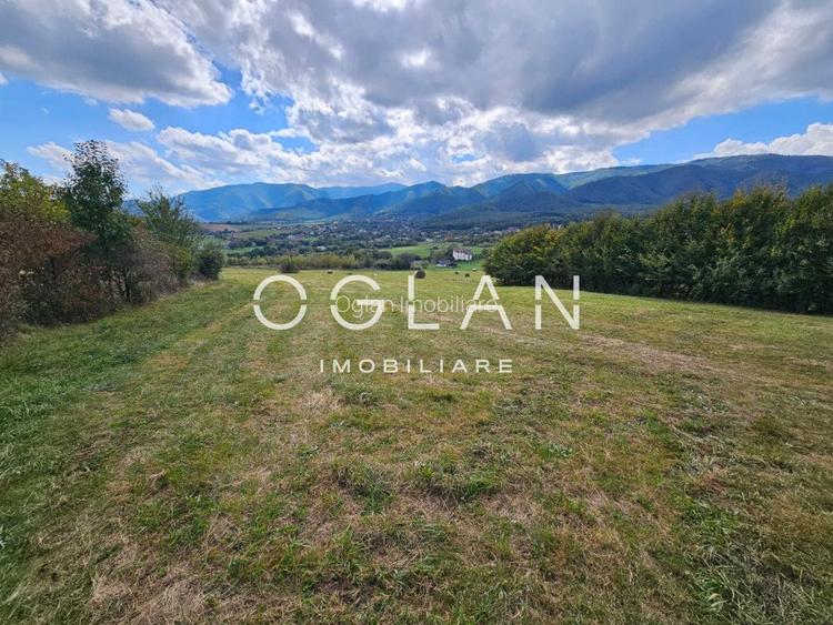 Teren Tocile (parcelabil) 3500 mp  - 14