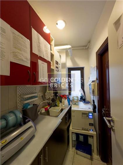 Cotroceni | Pretabila Clinica - Spa | Vila eleganta  | Terasa - 22