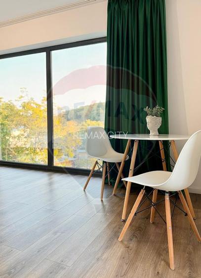 Vanzare Vila la munte - 42