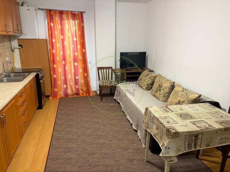 Apartament 2 camere de inchiriat-Zona Doamna Stanca - 20