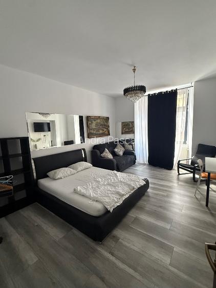 Apartament ultracentral pet friendly Timișoara - 4