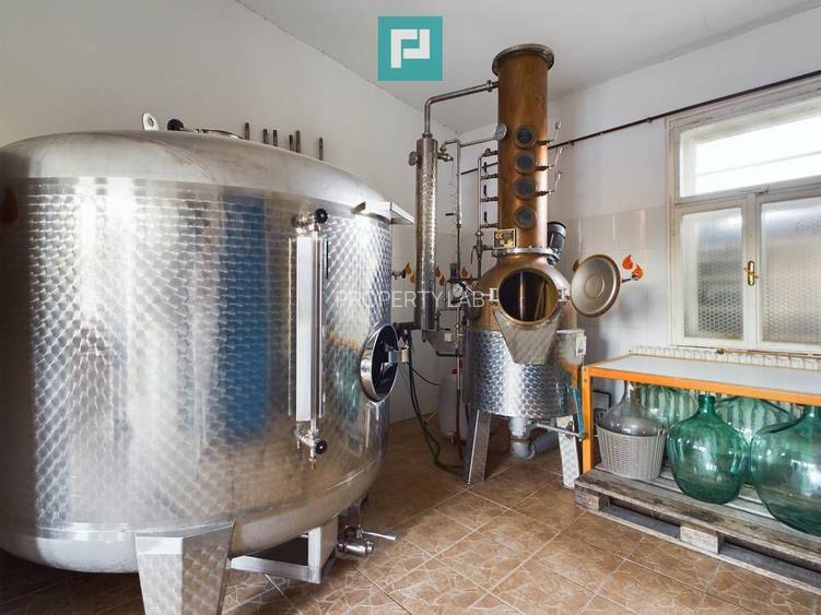 Pivnițele Birăuaș D.O.C Miniș - RATE FĂRĂ DOBÂNDĂ - 49