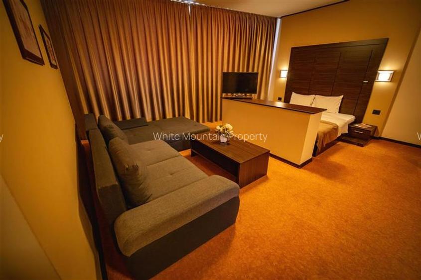 Timisoara, OPORTUNITATE INVESTITIE, hotel, clinica sau azil, 41 camere - 16