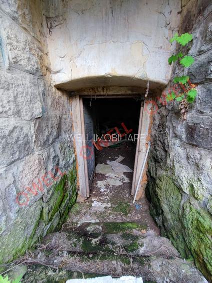 De vânzare casă de locuit în centrul satului Bixad! - 9