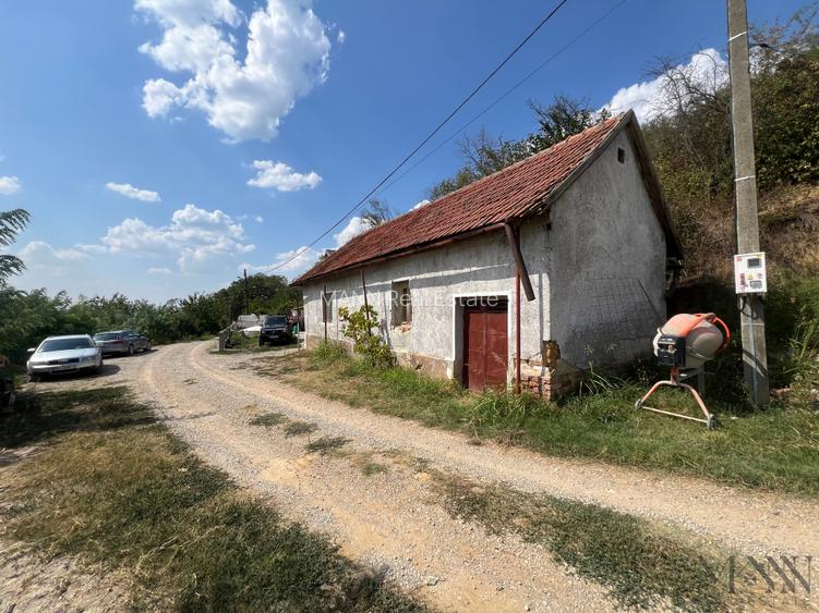 Pivnita + parcela de vie | de vanzare | Uileacu de Cris, Bihor - 4