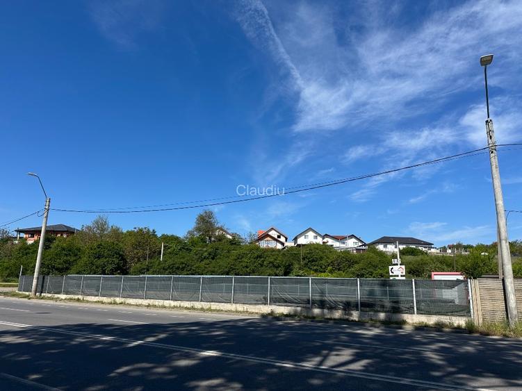 Teren in Hunedoara, zona Pestisu Mare la 12 km de Deva*800 mp! - 4