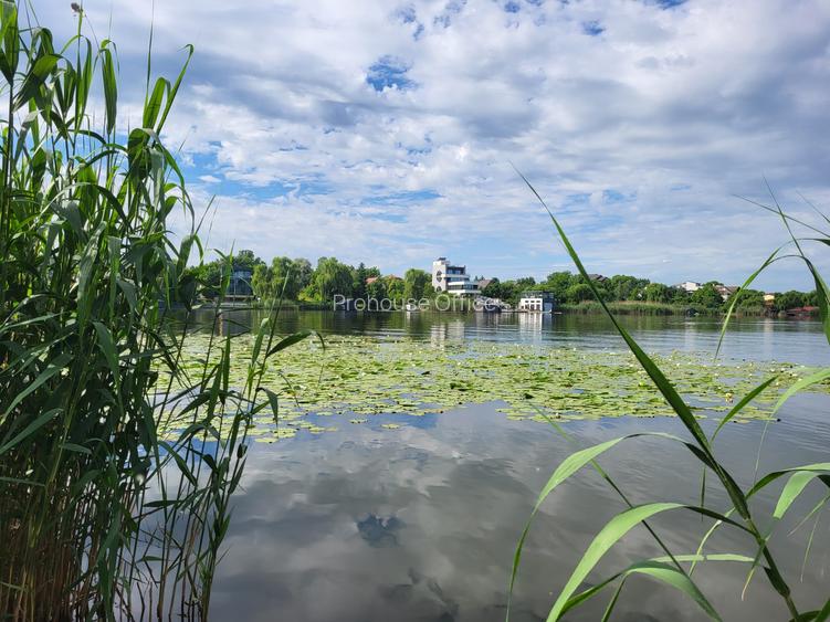 Snagov  Ultimul Refugiu la Lac: Proprietate Rara cu Priveliște de Poveste - 2