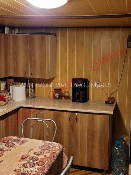 DE VÂNZARE CASĂ FAMILIALĂ, SITUATĂ ÎN DELENI - 10