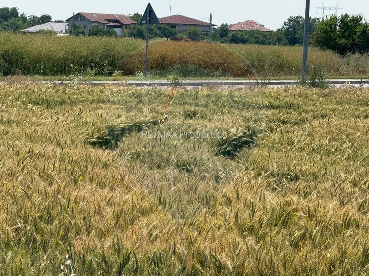 Vanzare Teren pentru dezvoltare mixta acces A0, Vadul Anei/ Branesti - 4
