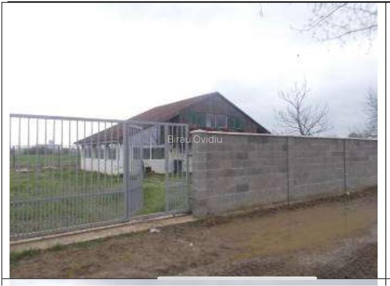 HUB Logistic intermodal 9,1 ha acces direct la DN 59/E70 JEBEL ,Timis - 3