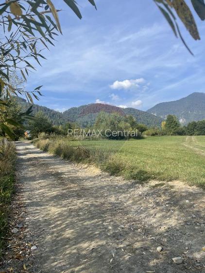 Teren intravilan 850mp Zarnești-Bran, natură-relaxare - 8