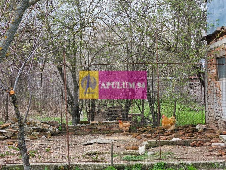 GIURGIU - COM. BUCSANI (SAT OBEDENI) CASA 2 CAM DE VANZARE - 18