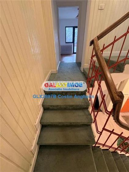 Vila individuala cu gradina generoasa - Floreasca - 11