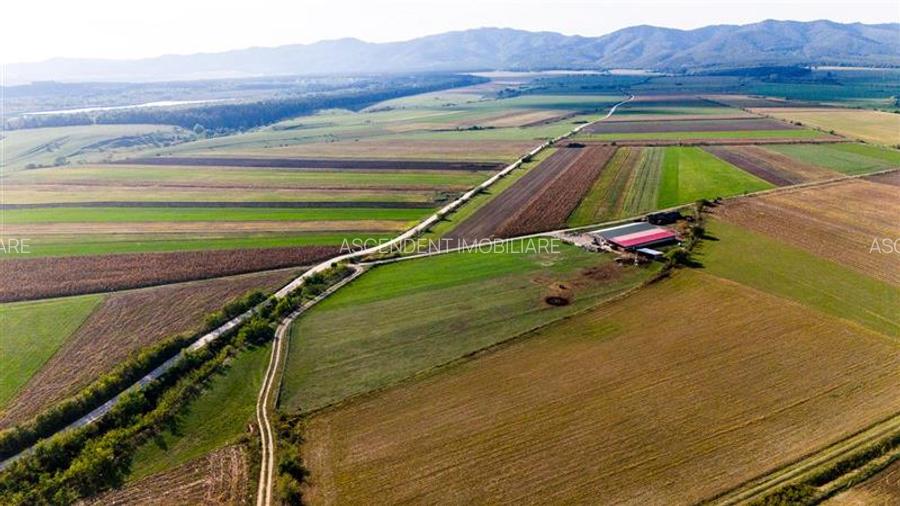 FILM! Zona extinsa, teren mixt,18.000 mp, ideal agro-investitii, Rotbav, Brasov - 9