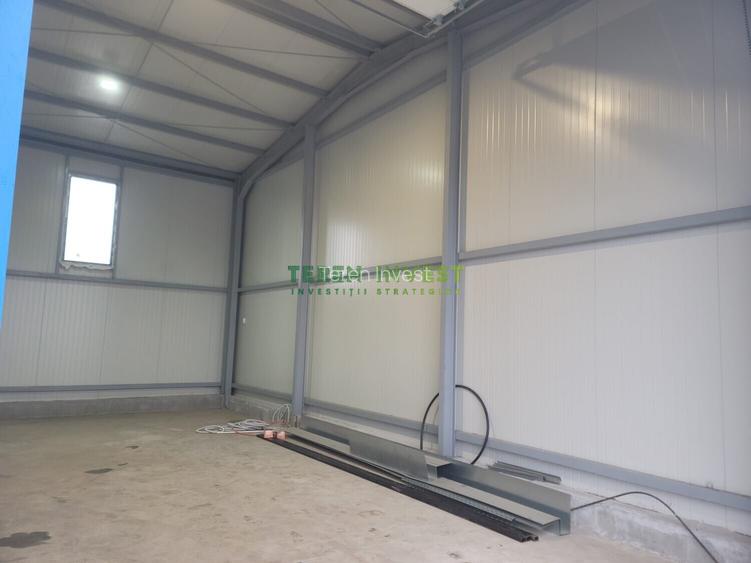 Hala depozitare -  Cernica - 17