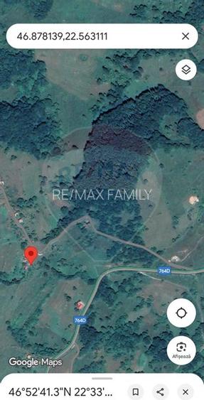 Teren constructii si faneata/livada 3082 mp Damis Bratca drum DJ 764D - 21